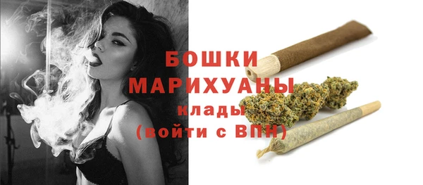 2c-b Инта