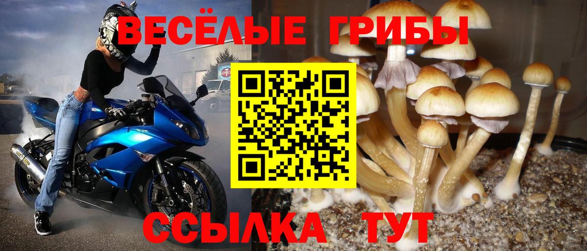 Шатура  Галлюциногенные грибы GOLDEN TEACHER  Вход с VPN 
